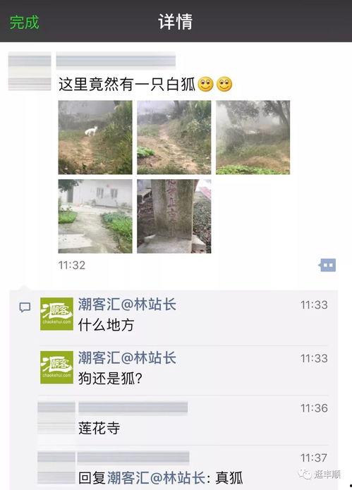 莲花县今日爆料信息,揭秘今日热点事件背后的真相